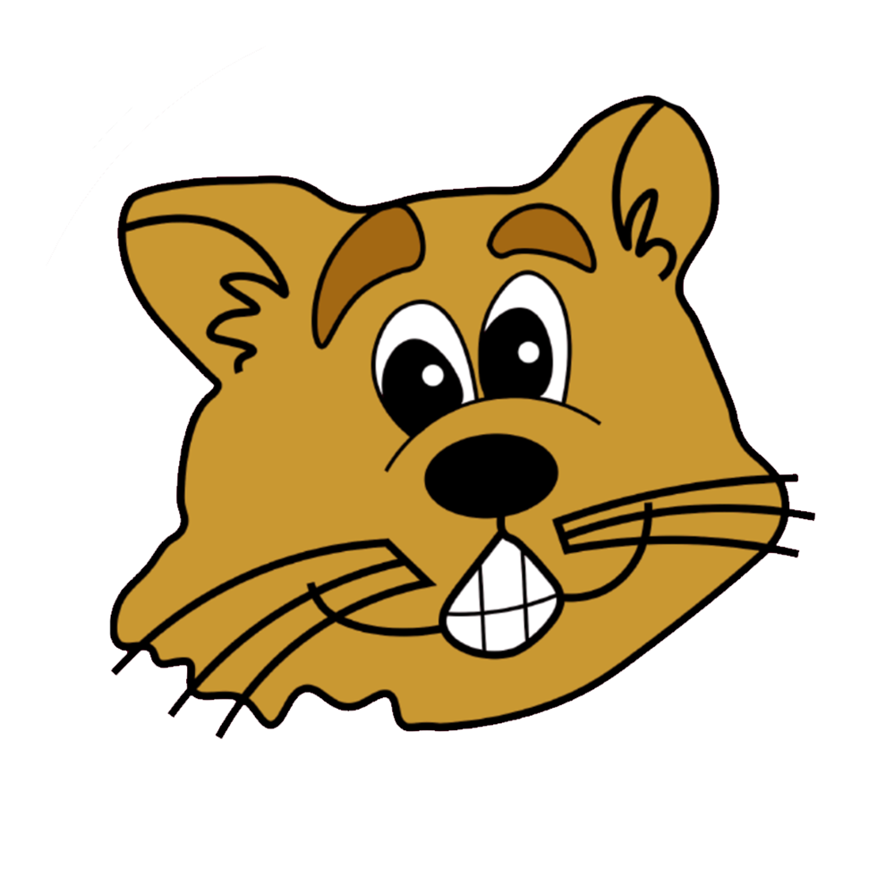  Bashaw Bobcats